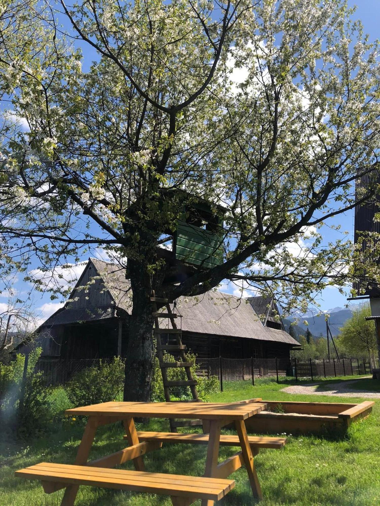 Pensjonat U Doroty, Zakopane - Twoje Miejsce W Gorach Dış mekan fotoğraf